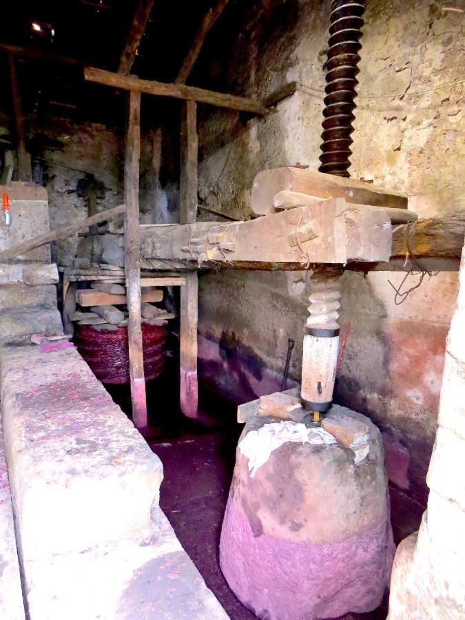 Casa La Vigna Villa Puntalazzo Bagian luar foto